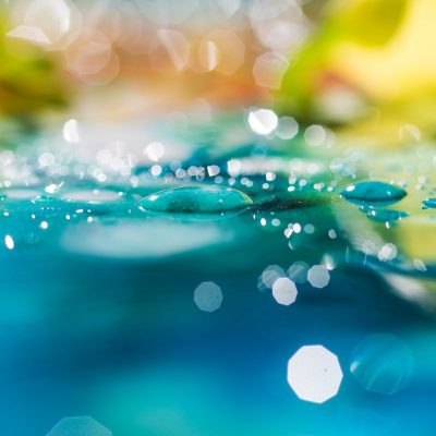 Abstract Dew Drop Background